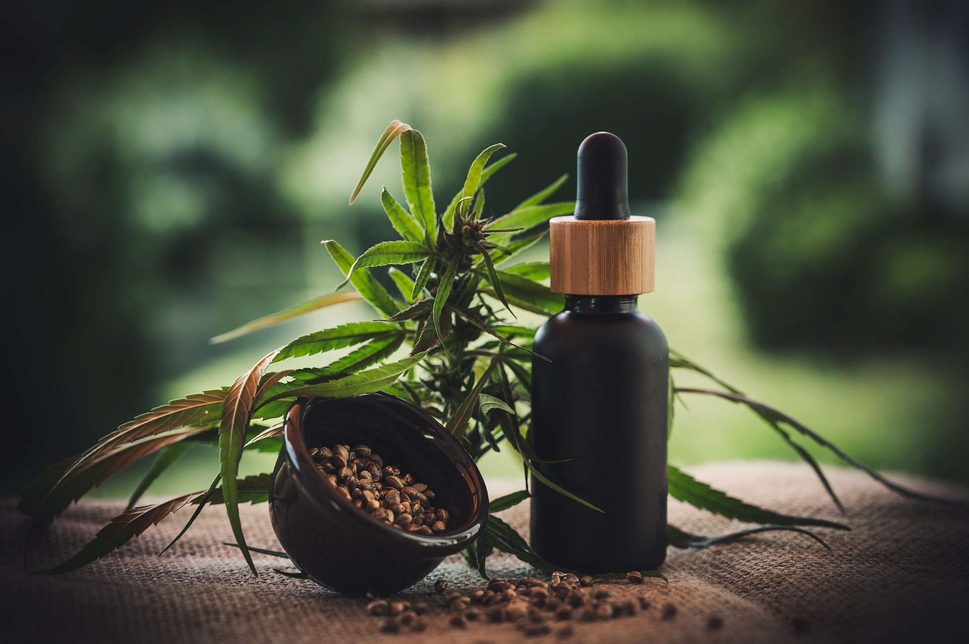  CBD Oil